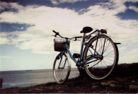 Почтовая марка Почтовая открытка для посткроссинга. Велосипеды. Карточка 10
