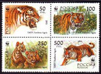 Почтовая марка № 124-127. Уссурийский тигр. Сцепка