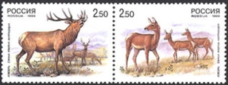 Почтовая марка № 502-503. Фауна. Олени